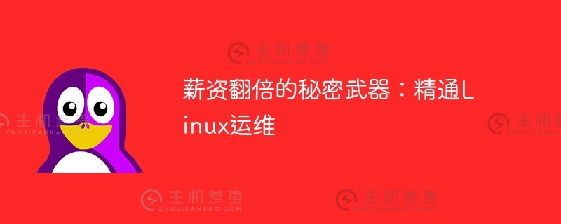 工资翻倍的秘密武器:精通linux运维（高级Linux运维工程师）_主机参考