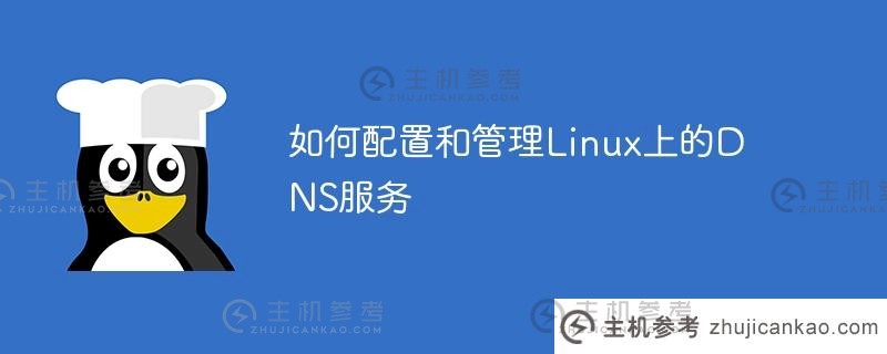 如何在linux上配置和管理dns服务（如何在Linux中配置DNS）_主机参考