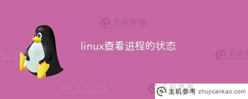 Linux上检查进程状态（linux检查进程状态命令）_主机参考
