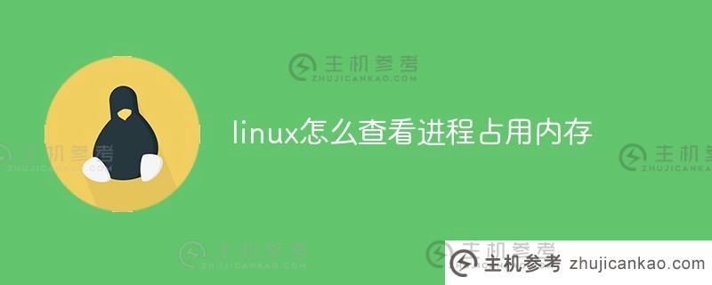 Linux下如何查看进程占用的内存_主机参考