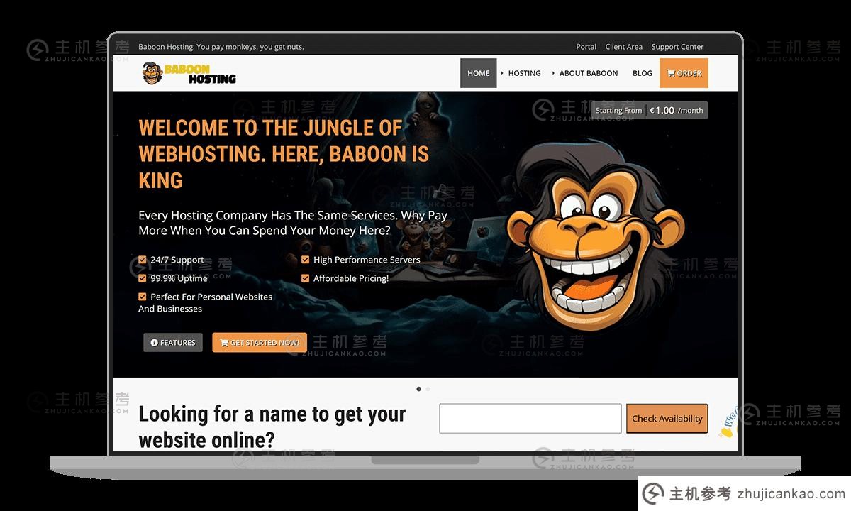 #promotion #baboonhosting - 10欧元/1核1G 30G 4T 5GBPS荷兰_主机参考
