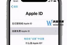 Apple id账号是什么？文章给你详细了解(Apple id账号指的是什么)。_主机参考