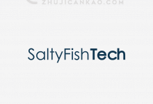 咸鱼云SaltyfishTech，最新五一劳动节优惠促销活动，100Mbps带宽新品德国CN2 VPS云服务器上线，三网均为CN2线路，30美元/季度，欧洲大带宽CN2 VPS云服务器_主机参考