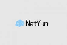 NatYun，美国高防御VPS特价优惠，美国洛杉矶机房，CN2 GIA网络，KVM虚拟，1核2G内存100Mbps带宽，39元/月，续费同价_主机参考