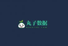丸子数据，全场7折优惠，中国香港/美国轻量云低至20/月，原生IP可解锁Netflix，高配美国Cera/中国香港服务器可选_主机参考