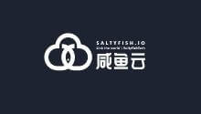 咸鱼云SaltyFishCloud，黑色星期五特别优惠，海外便宜低价VPS云服务器7折，德国CN2 GIA混合线路，KVM虚拟架构，1核1G内存300Mbps带宽，14.28美元/季_主机参考