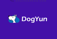 DogYun狗云，五周年庆/全场弹性云7折/经典云8折优惠，独立服务器立减100，CN2 GIA优化网络，香港/美国/日本/韩国等_主机参考