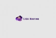 Liga Hosting，特价国外便宜VPS低至€7.99/年，美国西雅图机房，KVM虚拟/1Gbps带宽_主机参考