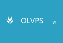 OLVPS美国CN2/主要销售俄罗斯伯力、波特兰、国内NAT/KVM VPS/3.5折起#周年庆促销#_主机参考